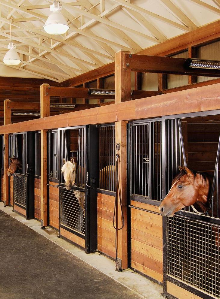 Краски для конюшни, коровника, птицефабрики