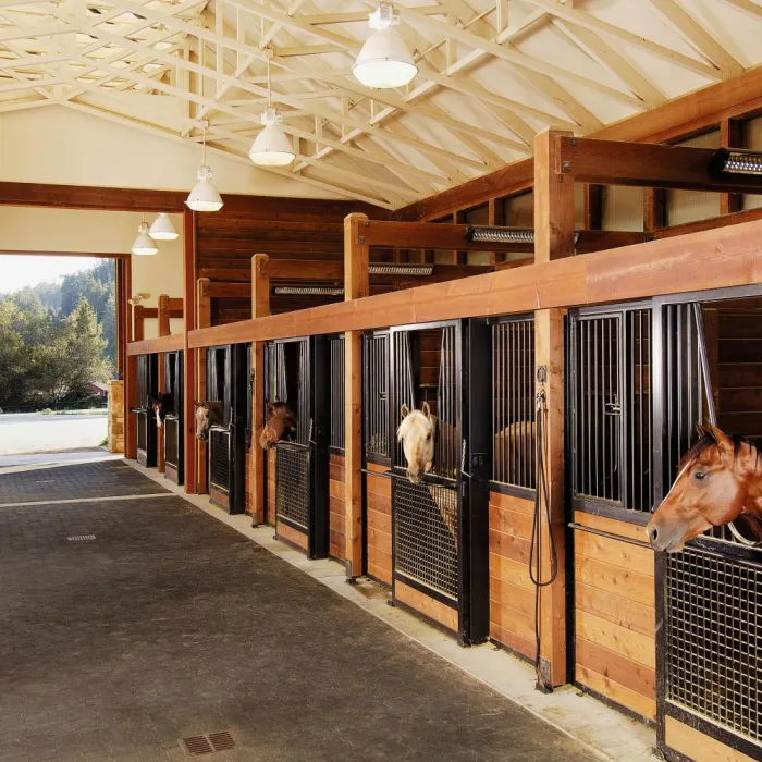 Краски для конюшни, коровника, птицефабрики